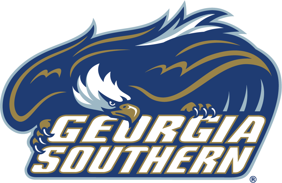 Georgia Southern Eagles 2004-Pres Primary Logo diy DTF decal sticker